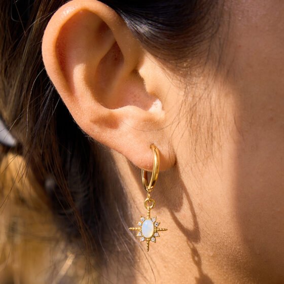 Crystal Earrings No. 029
